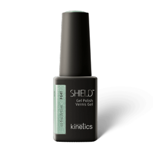 Vernis semi-permanent 15ml Polish Shift #641