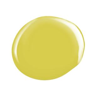 Vernis à ongles SolarGel 15ml Rejoice #613